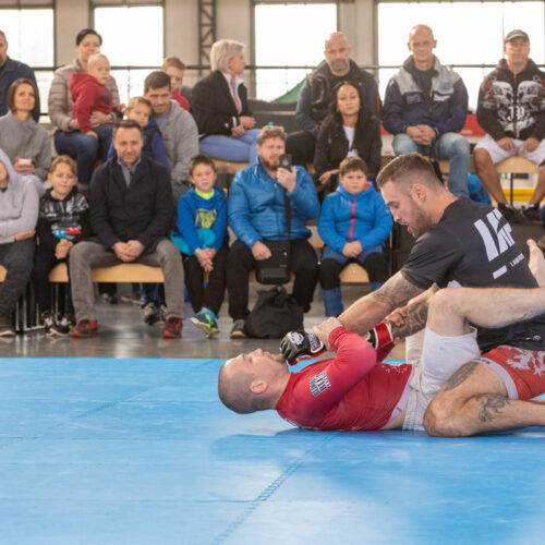 MMA