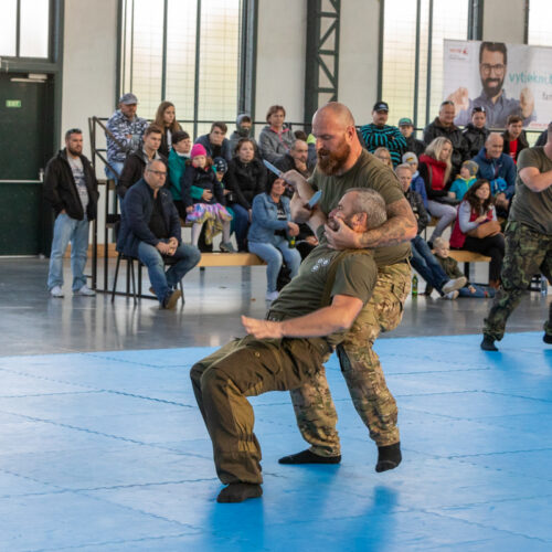 Systema