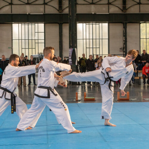 Taekwon-Do